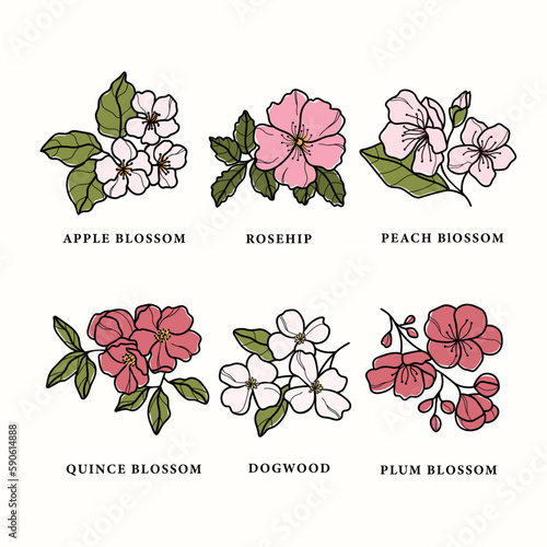 Line art flowering trees drawing