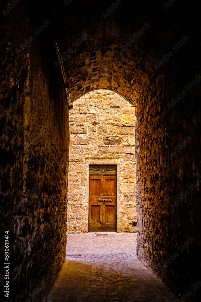 Obraz premium old door at a facade