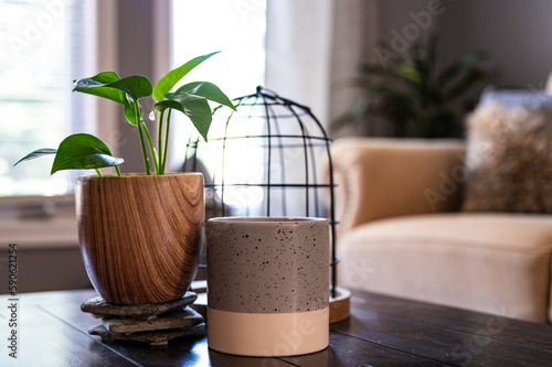 Rustic wooden vase with fresh green plant on a table, birdless cage in background, granite plant holder nearby, ideal interior decor photo