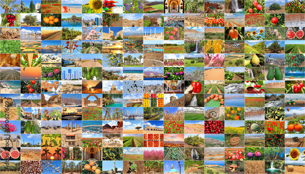 Israel. A country of three religions, nature and agriculture, sea and desert. Collage of our photos