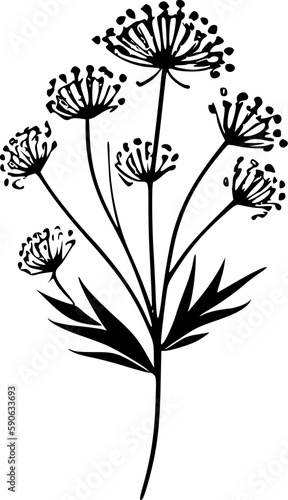 Birth Flower   Black and White Vector illustration