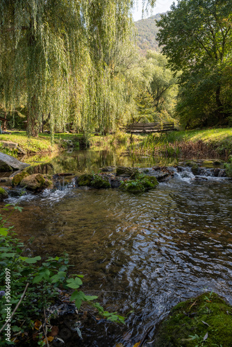 River rock in green forest on summertime nature. River flows over rocks through the woods. 