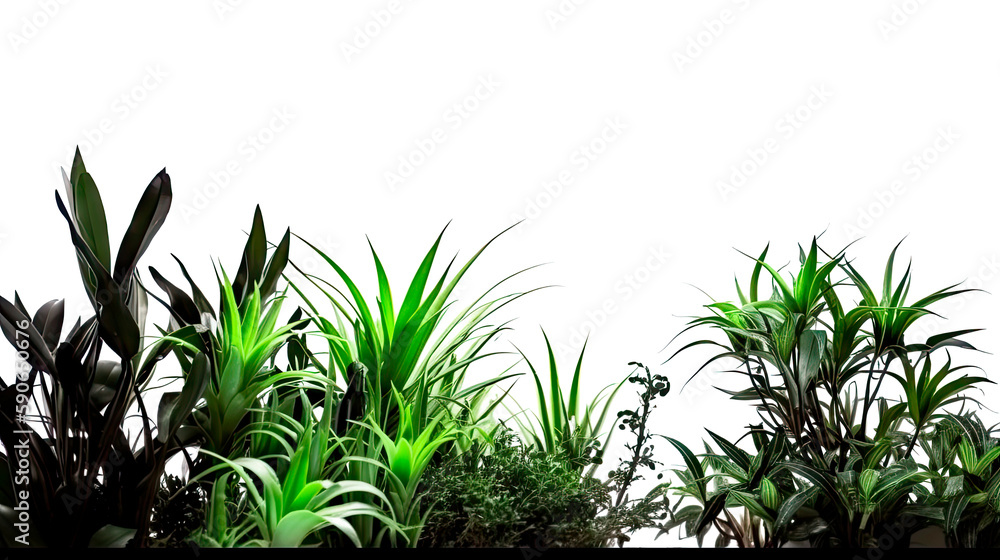 Green grass border with isolated transparent background, Generative AI Green grass border with isolated transparent background, Generative AI
