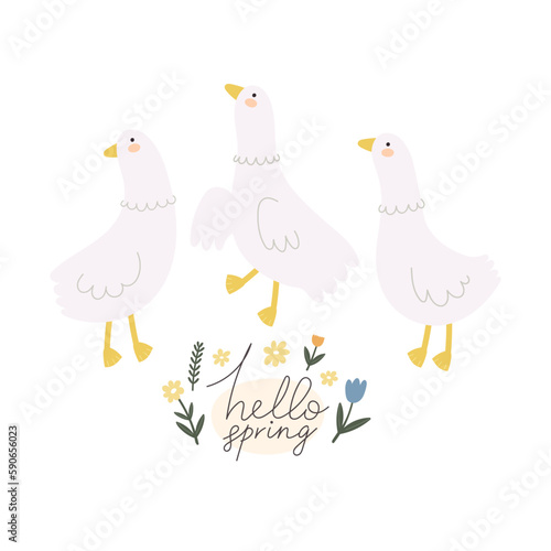 hello spring. Cartoon birds, flowers,  hand drawing lettering. colorful spring vector illustration, flat style. design for print, greeting card, poster decoration, cover