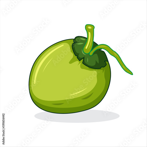 green Coconut vector design coconut fruit cartoon illustrations isolated on white background.