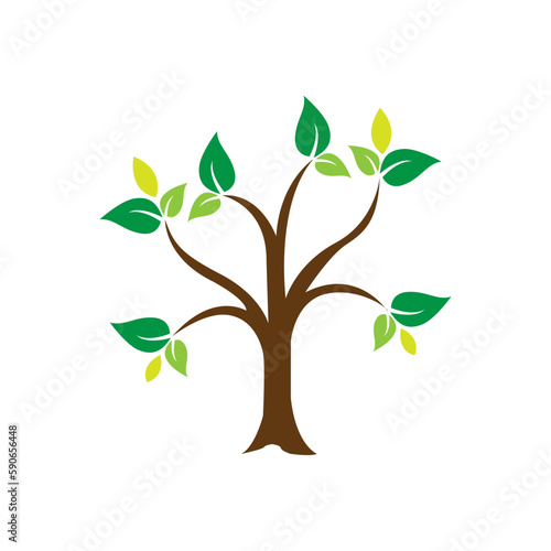 green tree with leaves vector design colorful tree background cartoon clipart illustrations.
