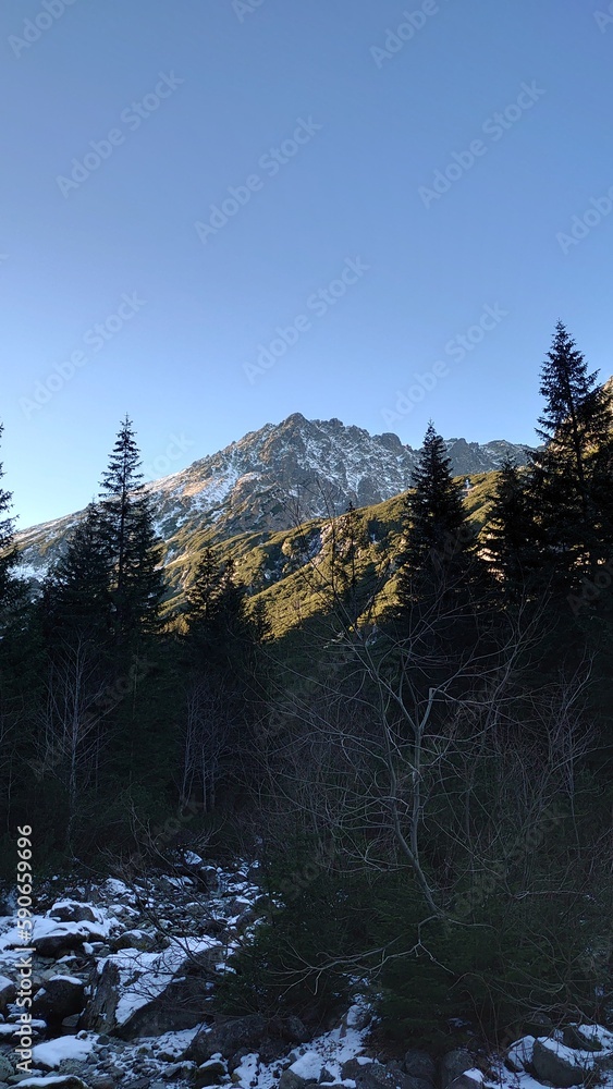 Landscape, city skyline, skyline, sunset, sky, nature, view, forest, winter, sunset, sunrise, city, romantic scenarios, animals Landscape, city skyline, skyline, sunset, sky, nature, view, forest, winter, sunset, sunrise, city, romantic scenarios, animals