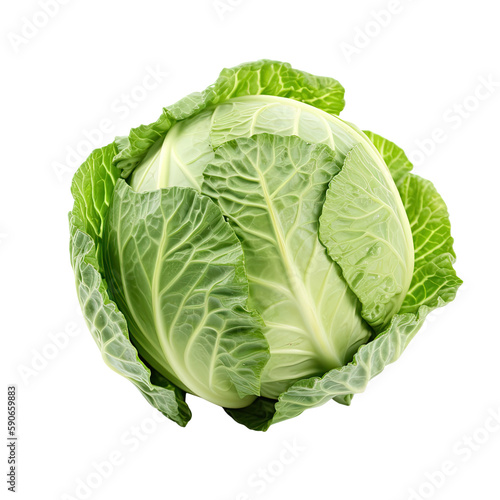 cabbage isolated on transparent background, generative ai