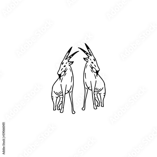 vector illustration of two sheep