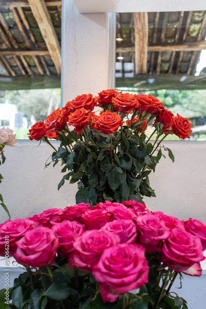 Roses for export, best roses in Ecuador, a bouquet of roses