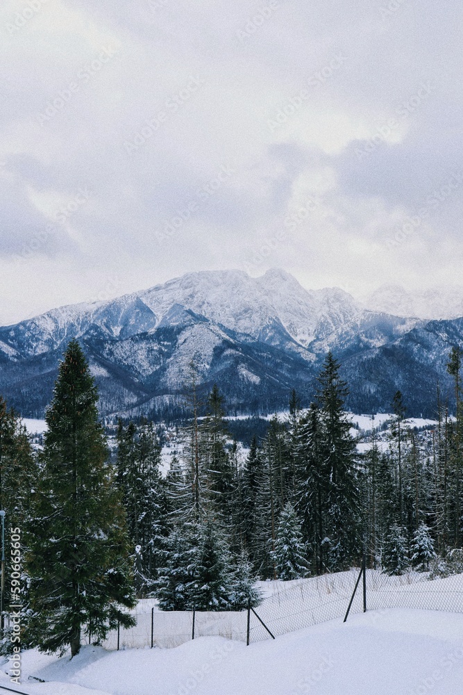 Landscape, city skyline, skyline, sunset, sky, nature, view, forest, winter, sunset, sunrise, city, romantic scenarios