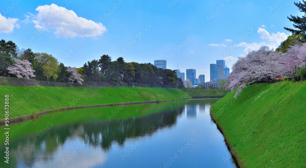 千鳥ヶ淵の春 1