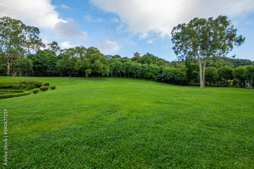 Green grassland in the park under the blue sky and white clouds. Green grassland in the park under the blue sky and white clouds.