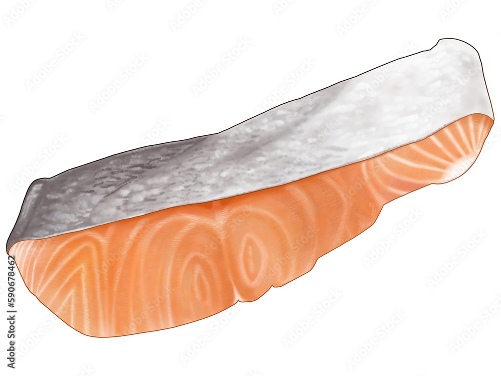 塩鮭の切り身のリアルなテイストの美味しそうなイラスト 塩鮭の切り身のリアルなテイストの美味しそうなイラスト