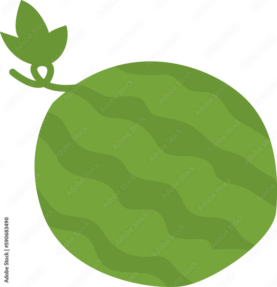 Fototapeta premium Watermelon Illustration