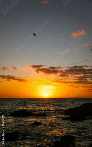 sunset over the sea