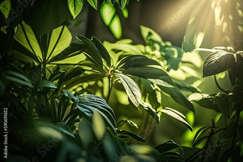 Tropical green plants under the rays of the morning  Ai generated 
