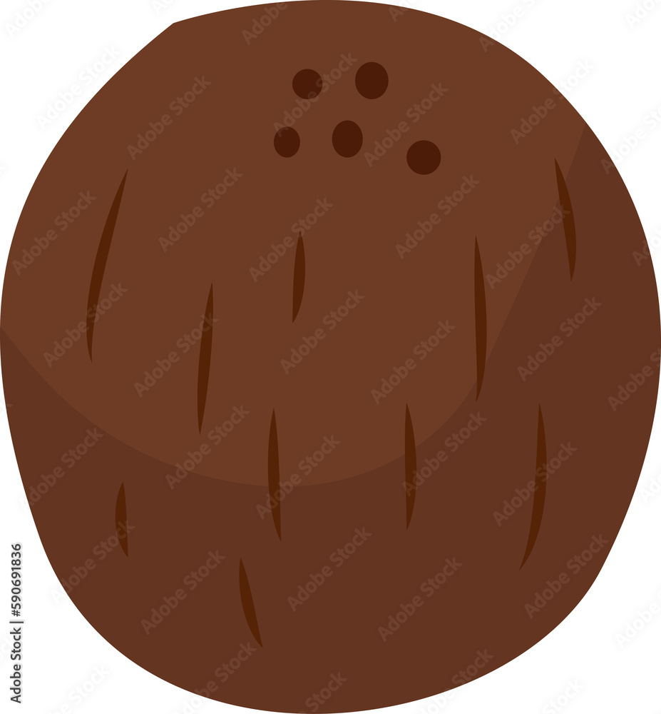 Coconut Illustration Coconut Illustration
