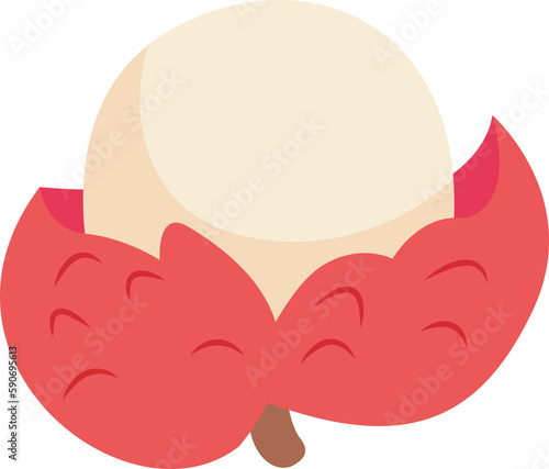 Lychee Fruit Illustration