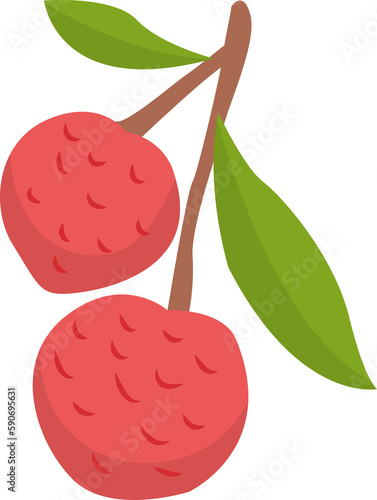 Lychee Fruit Illustration