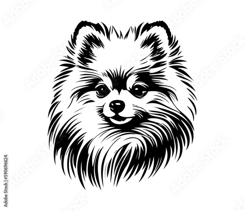 Pomeranian Face, Silhouettes Dog Face SVG, black and white Pomeranian vector