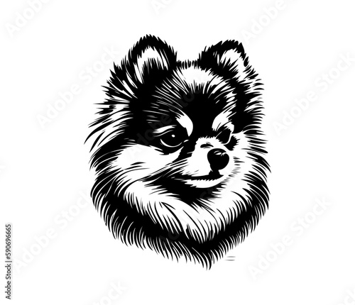 Pomeranian Face, Silhouettes Dog Face SVG, black and white Pomeranian vector