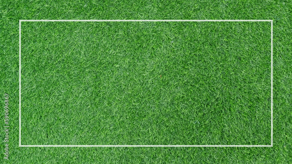 green texture space background line border, plant soccer concept 