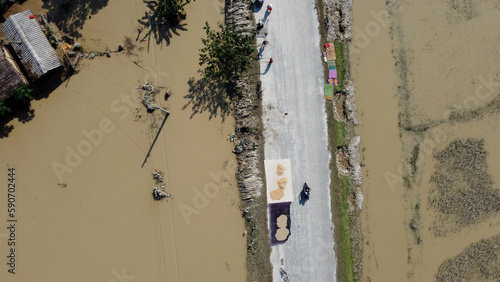 Принти на полотні The paddy was kept for drying after the flood washed them away, in Nepal