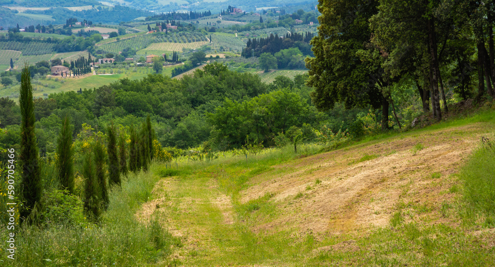 Tuscany landscape in spring  season  along the Via Francigena route from Gambassi Terme to San Gimignano, Tuscany region, Italy, Europe