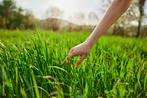 Woman, hand, nature, grass, field, sunset, sun.