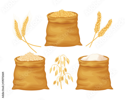 Wheat, oats and barley. Wheat and oat grains in large bags. Flour from cereals. A bag of flour and ears of cereals. Vector illustration
