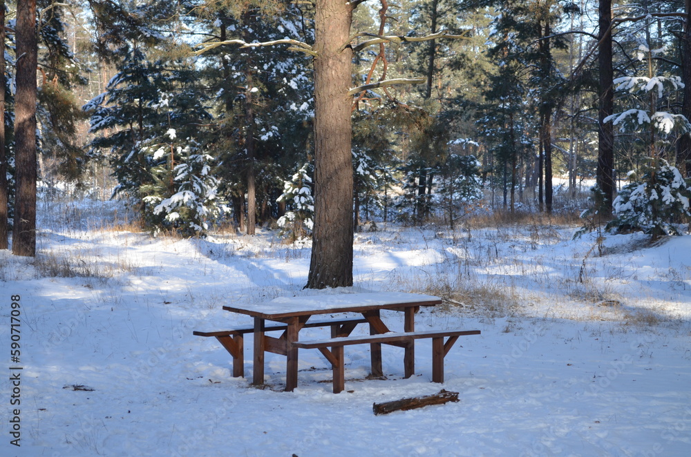 Bench and table in a snowy forest.
