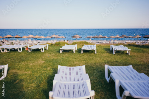 Empty sunbeds on the grass by the sea