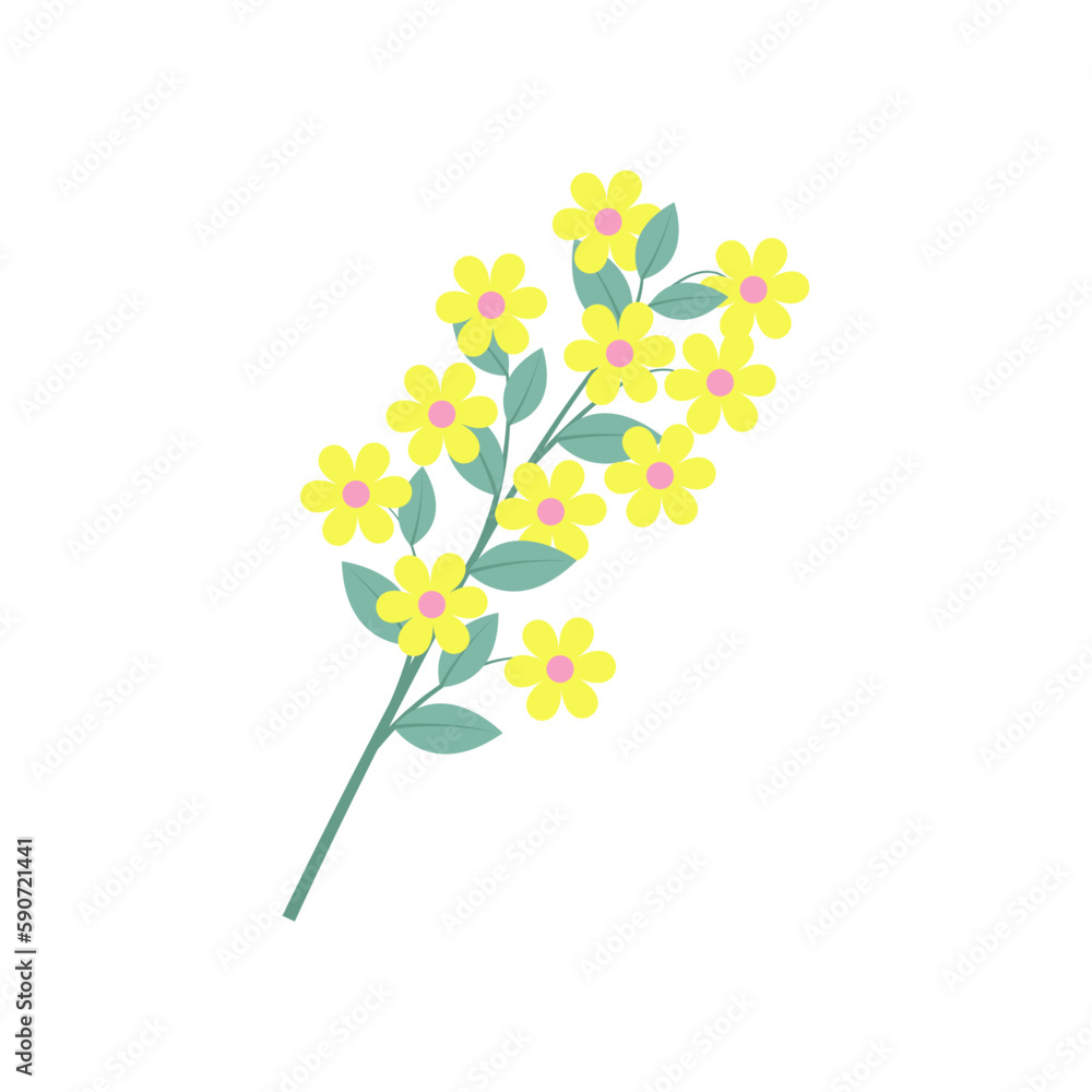 Twig with yellow flowers and green leaves, close-up, isolated, on a transparent and white background. Element for design decoration. Vector image, illustration, graphic design. Twig with yellow flowers and green leaves, close-up, isolated, on a transparent and white background. Element for design decoration. Vector image, illustration, graphic design.