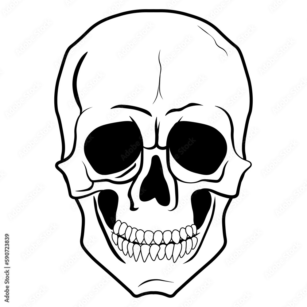 White teeth skeleton or Jolly Roger Skull symbol on white transparent png background, Vector illustration White teeth skeleton or Jolly Roger Skull symbol on white transparent png background, Vector illustration