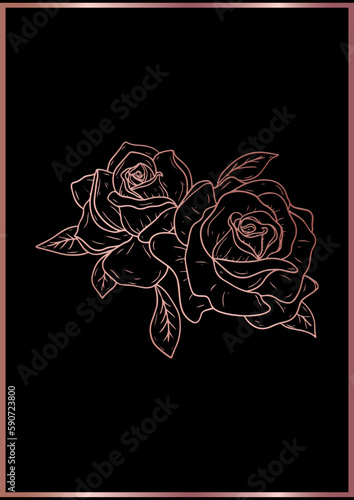 red rose on black background
