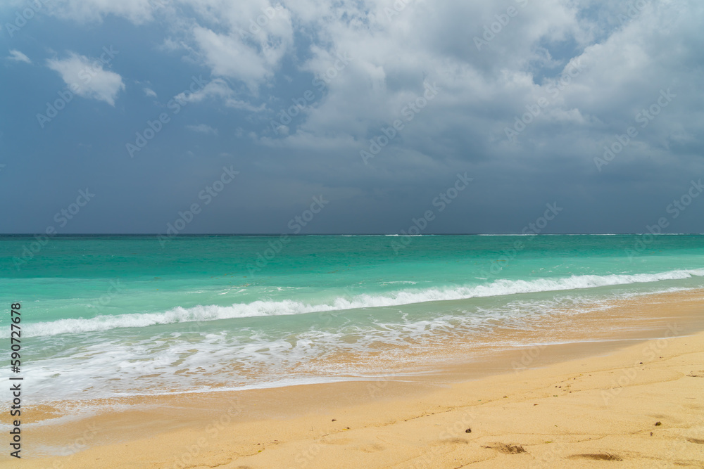 Fototapeta premium Coral beach in Nusa Dua Bali Indonesia