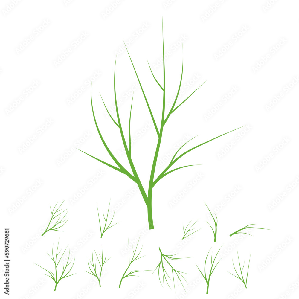 Obraz premium Decorate the dish with dill sprigs. A set of vector icons. Dill is a healthy organic food.