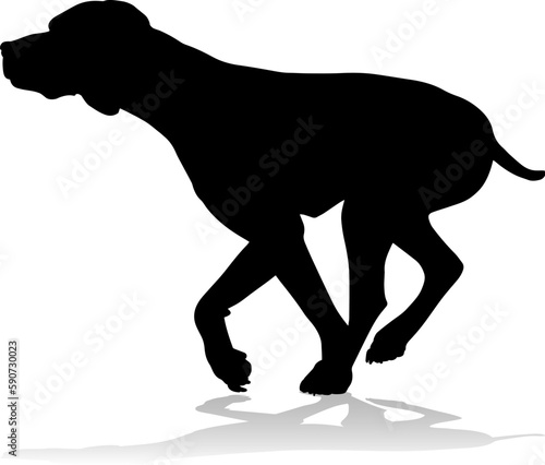 A detailed animal silhouett...