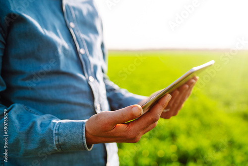 Chief farmer with a digital tablet on a green field. Agronomist checks the harvest in the agricultural field. Checking the field of wheat. Smart farm. Agribusiness.