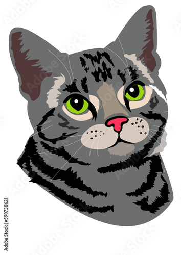 striped cat