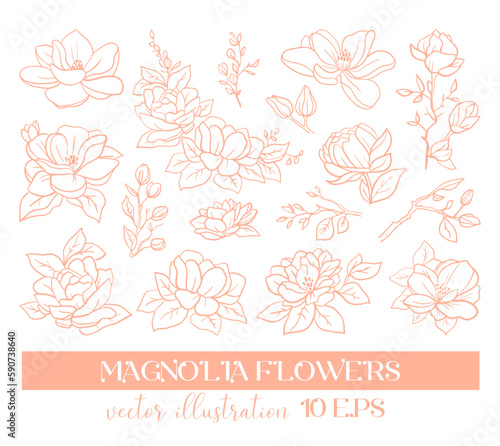 Vector graphic linear illustration of a sprig of magnolia flowers and roses