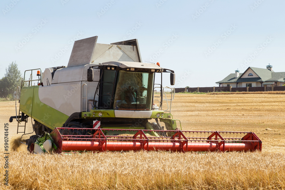 Fototapeta premium Harvesting with combines