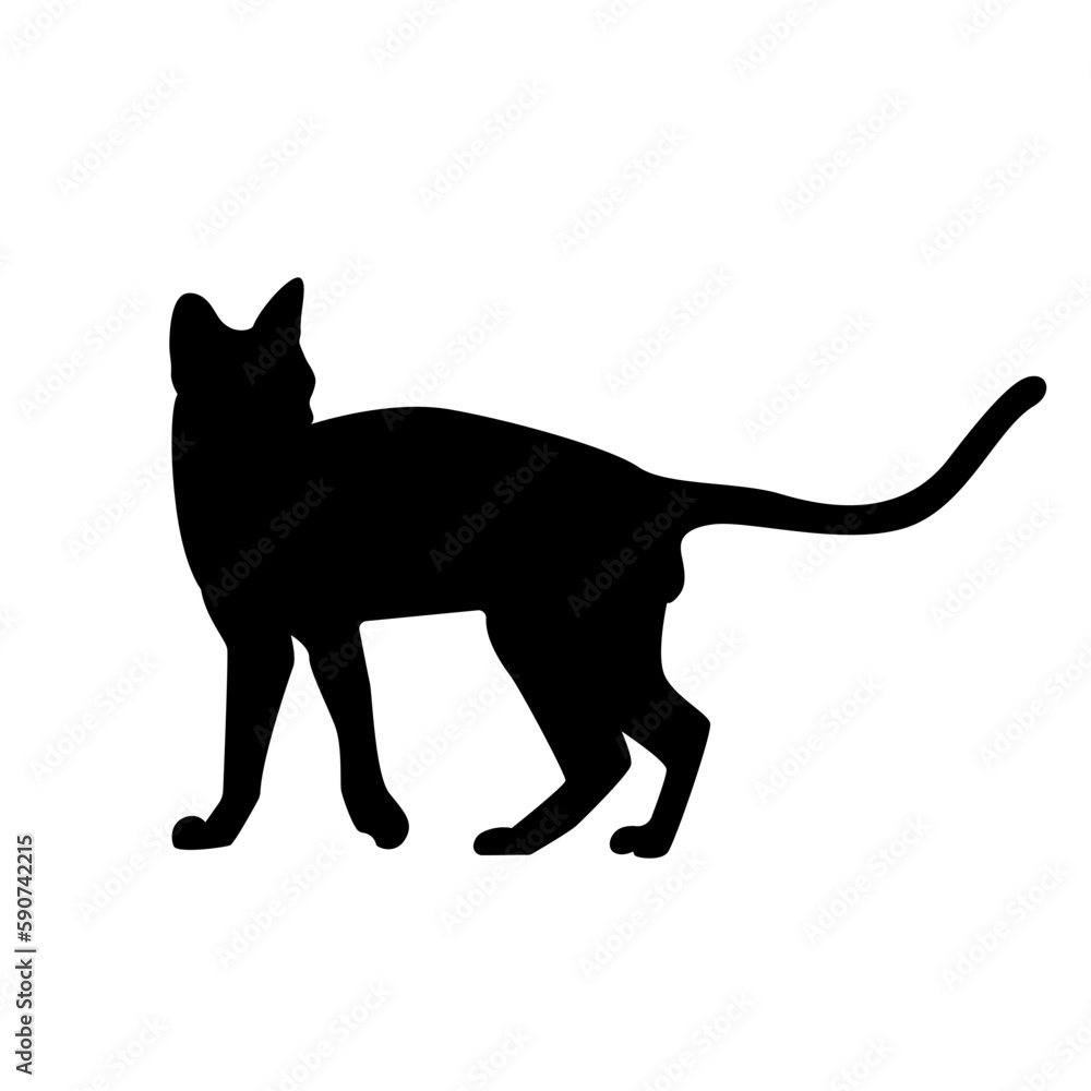 cat isolated on white vector eps 10