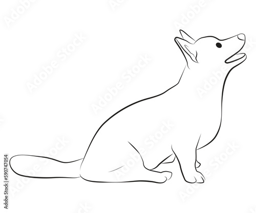 corgi dog sitting pose line cartoon illustration