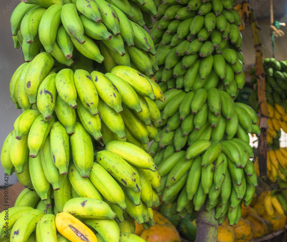 Green bananas in the Asian market. Healthy eating, raw food, vegetarianism. Sri Lanka.