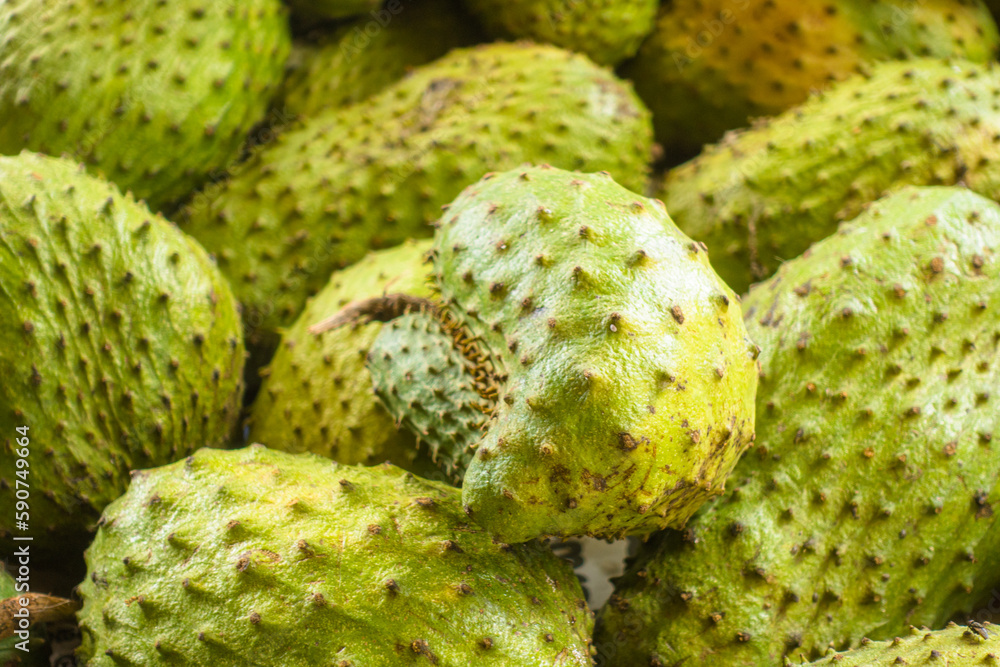 Fototapeta premium Guanabana in the Asian market. Healthy eating, raw food, vegetarianism. Sri Lanka.