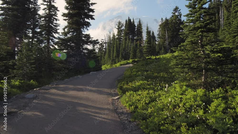 Exploring the Majestic Hiking Trails of Mount Rainier Exploring the Majestic Hiking Trails of Mount Rainier