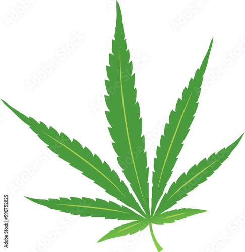 Green Leaf Hemp Cannabis Sativa Leaf Weed Herbal Isolated