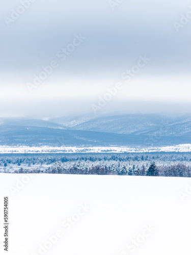 Snowy landscape shows some hills and a white field.